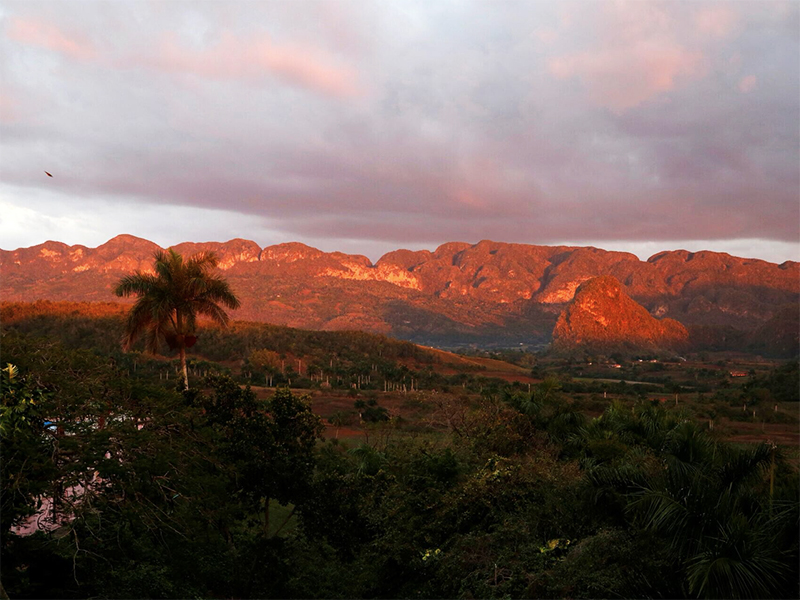 un-incendio-forestal-arrasa-los-pinares-de-vinales