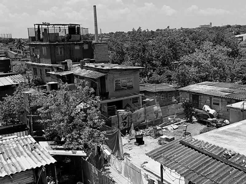 gregorio-samsa-volando-en-circulos-sobre-la-habana