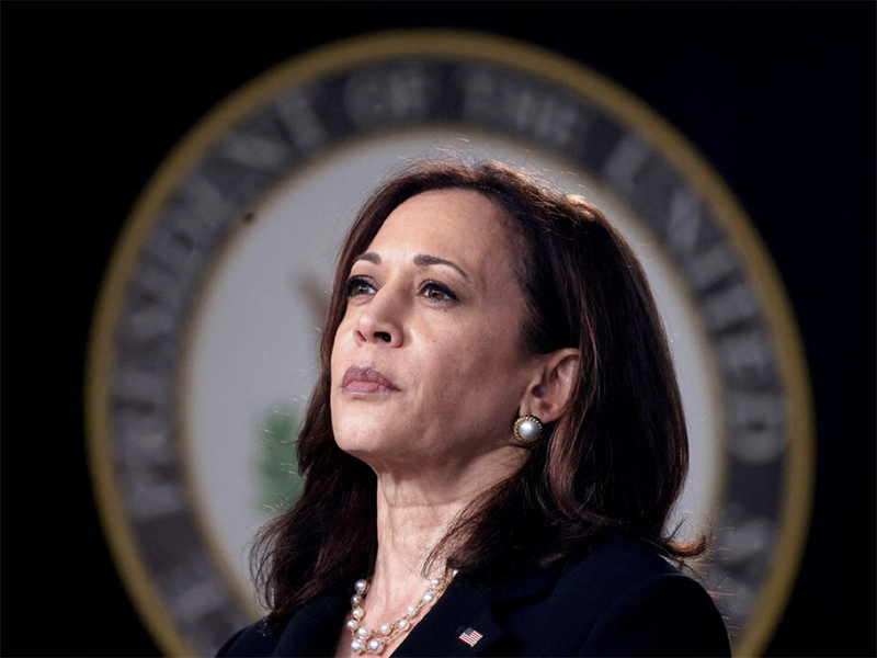 a-kamala-harris-le-falta-carisma-y-tiempo