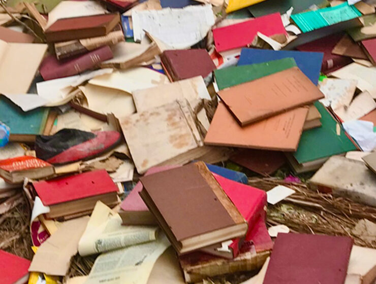 si-no-creyera-en-la-lectura