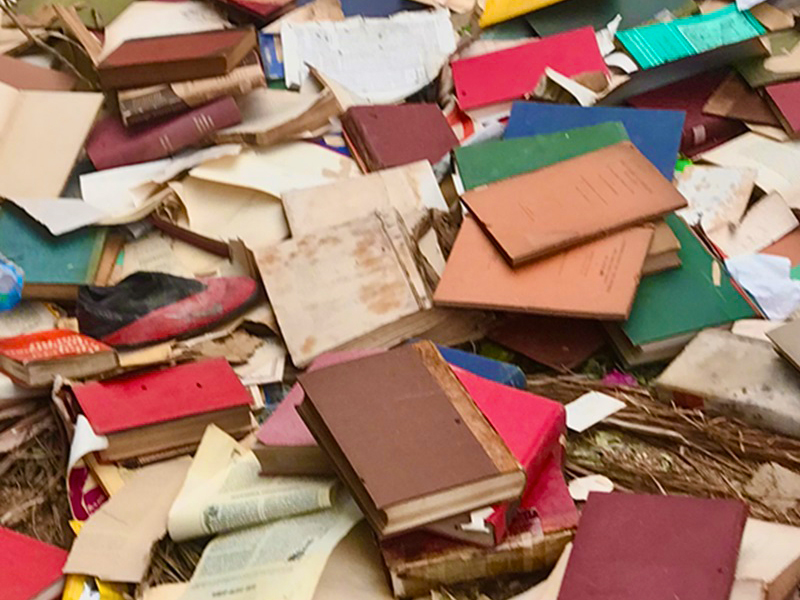 si-no-creyera-en-la-lectura