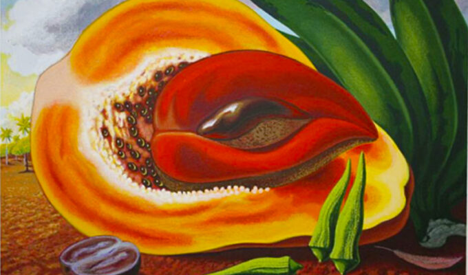 guajiro-cubano-pregunta-por-la-belleza