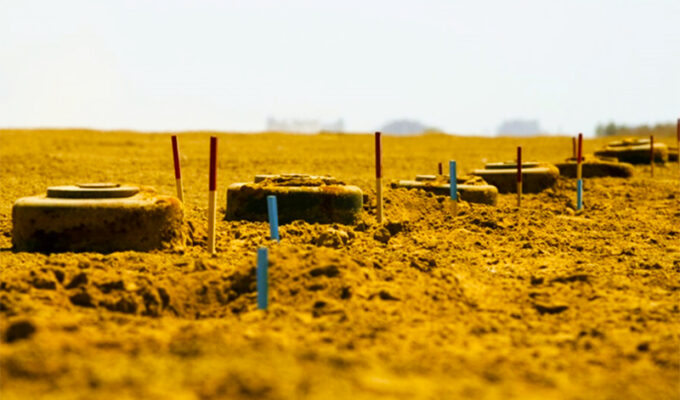 insensatez-horacio-castellanos-moya