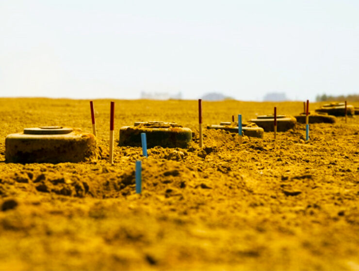 insensatez-horacio-castellanos-moya