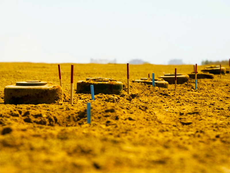 insensatez-horacio-castellanos-moya