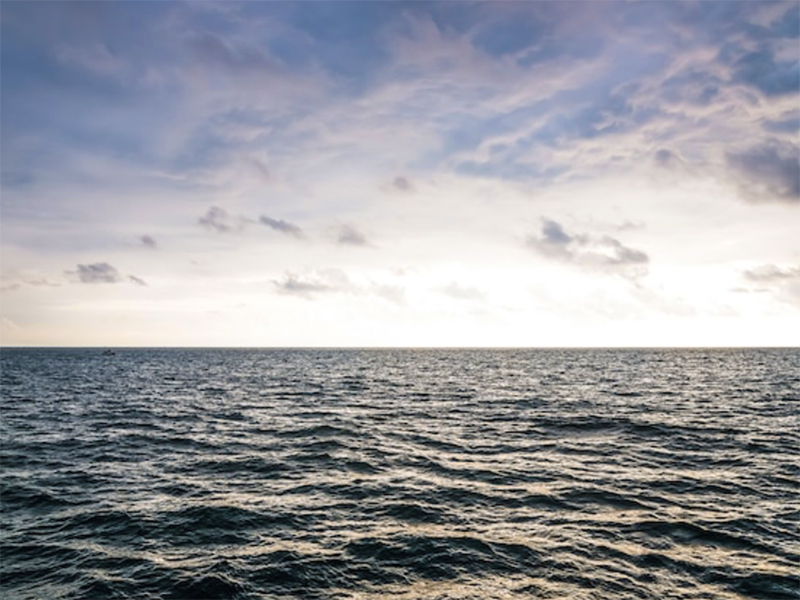 la-poesia-en-tiempos-de-decepcion-y-angustia