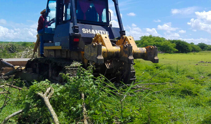 la-inseguridad-alimentaria-en-cuba-tras-la-caida-del-eje-caracas-la-habana