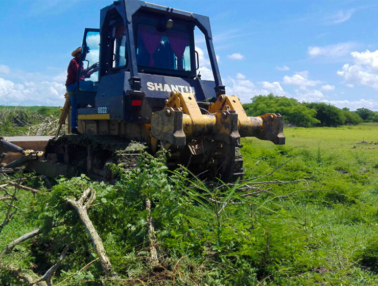 la-inseguridad-alimentaria-en-cuba-tras-la-caida-del-eje-caracas-la-habana