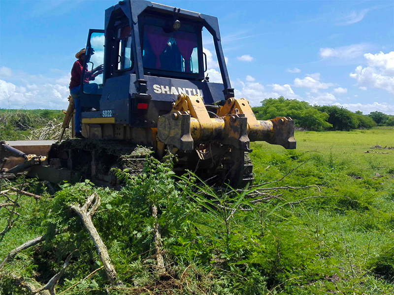la-inseguridad-alimentaria-en-cuba-tras-la-caida-del-eje-caracas-la-habana