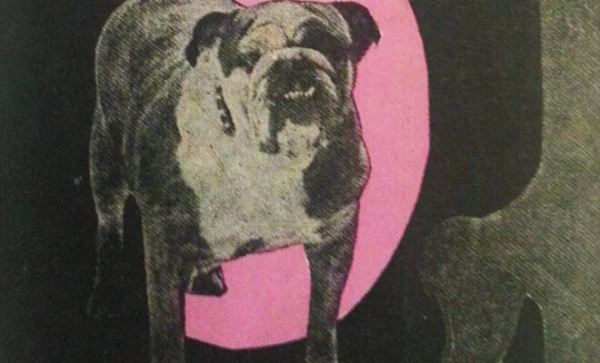 el-traspatio-de-lo-real-el-primer-libro-de-esther-diaz-llanillo