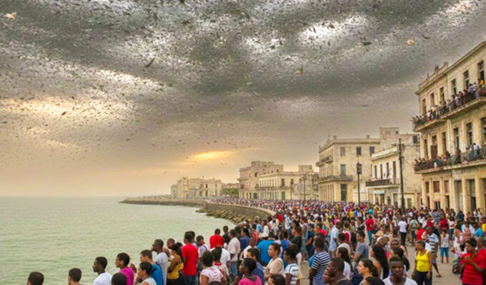 la-sociedad-de-las-moscas