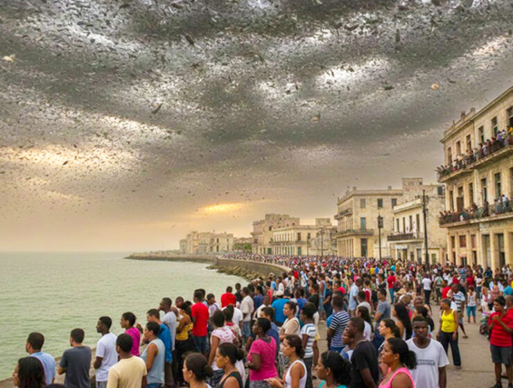 la-sociedad-de-las-moscas