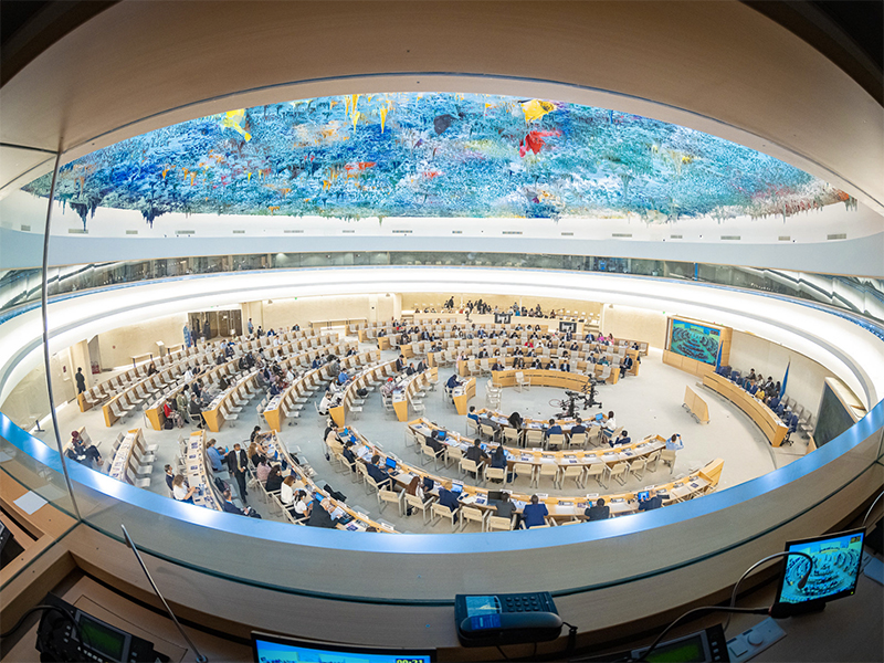 la-paradoja-estructural-del-sistema-internacional-ante-los-derechos-humanos