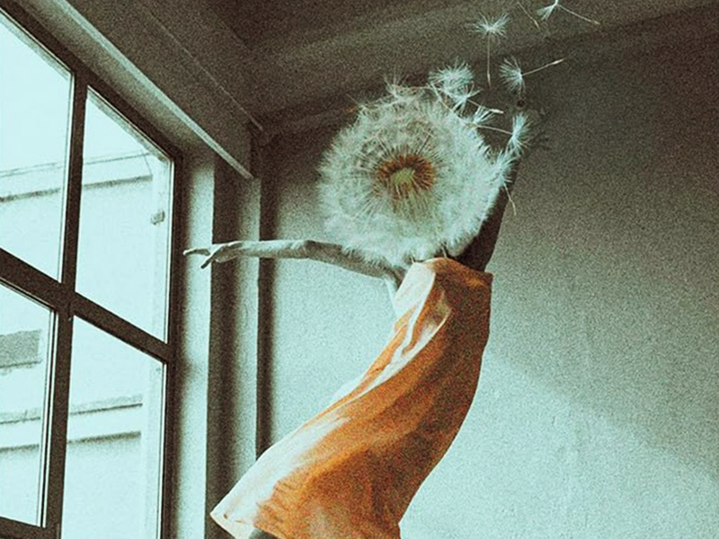 memoria-y-desarraigo-los-objetos-perdidos-de-karla-suarez