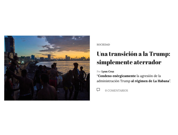 replica-a-una-transicion-a-la-trump-de-lynn-cruz
