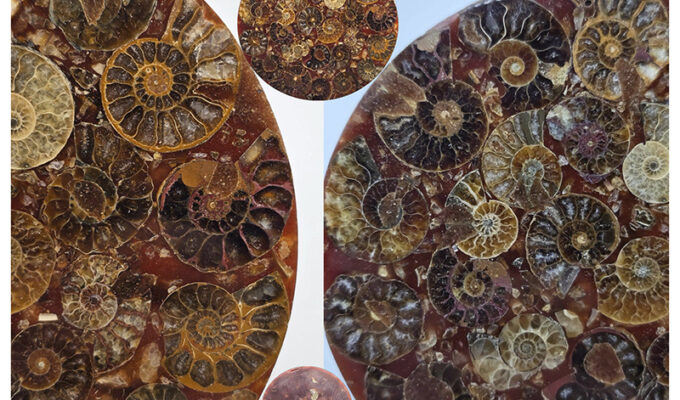 la-giraldilla-de-la-habana-y-su-relacion-con-el-arte-y-la-ciencia