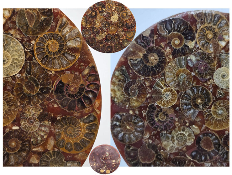 la-giraldilla-de-la-habana-y-su-relacion-con-el-arte-y-la-ciencia