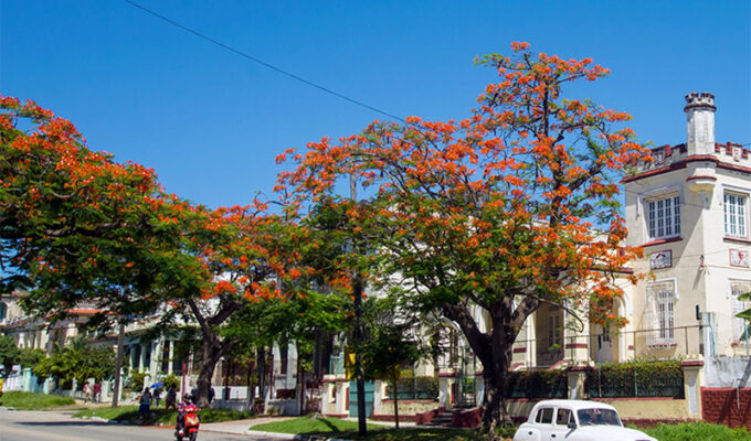 esperando-la-primavera-en-la-habana
