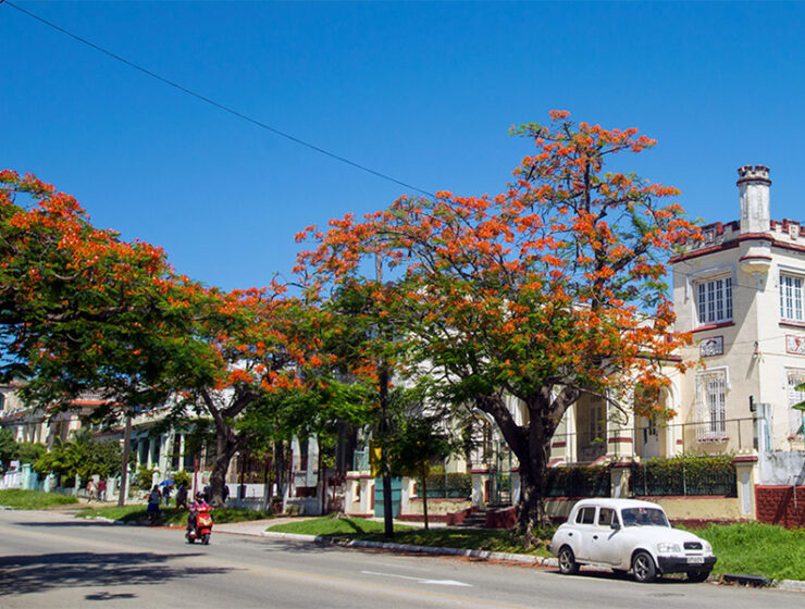 esperando-la-primavera-en-la-habana