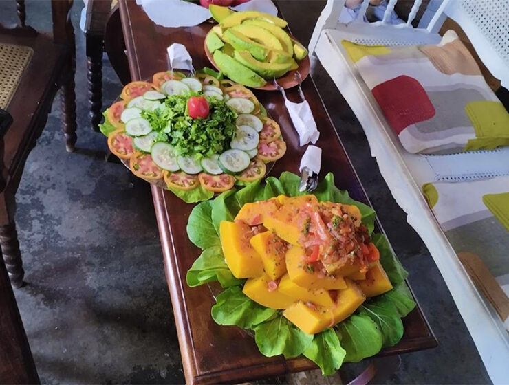 food-bloggers-cubanos-en-tiempos-de-carencia