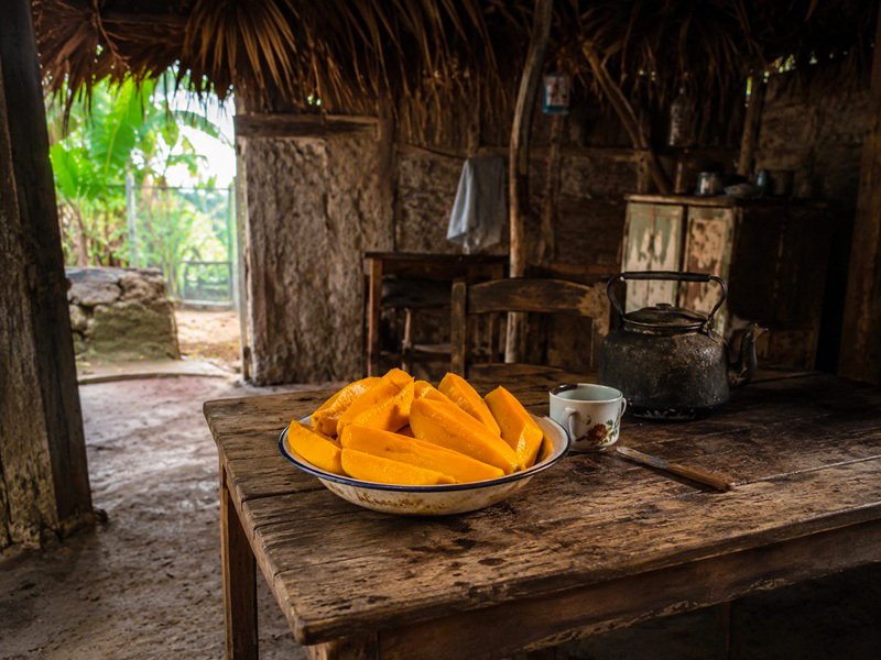bistec-de-mango