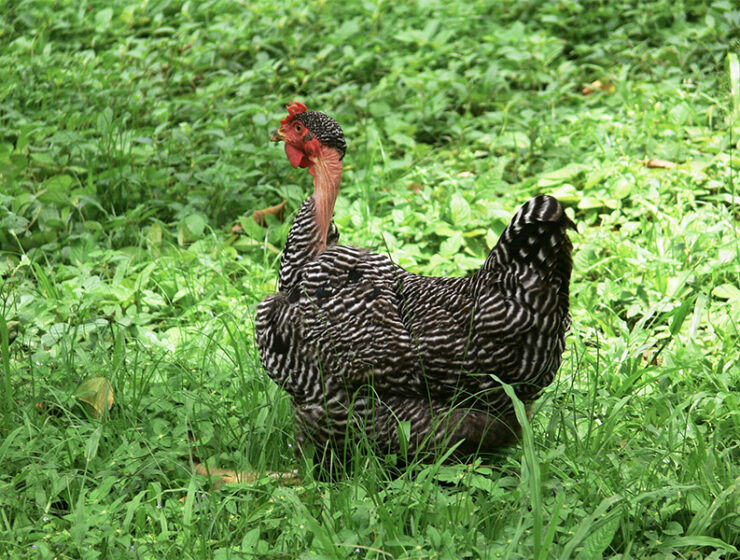 un-hueco-de-verdad
