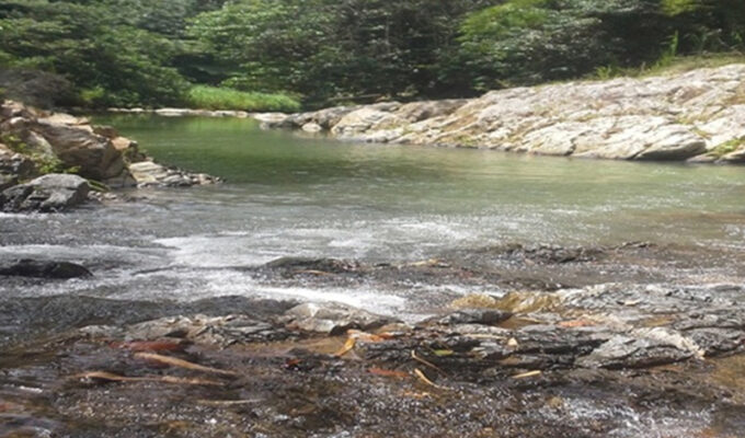 la-obediencia-y-el-agua