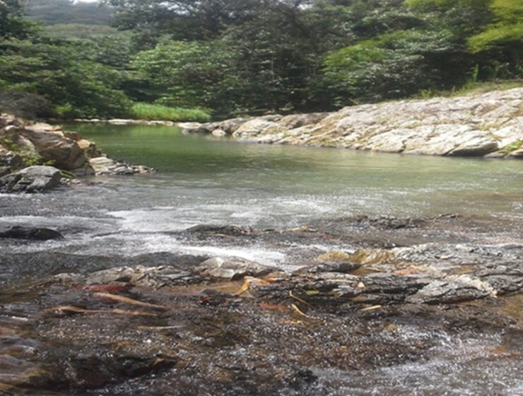 la-obediencia-y-el-agua