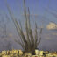 la-crisis-entre-gaza-e-israel-se-agrava
