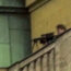 11-muertos-en-un-tiroteo-en-la-universidad-de-praga-la-ciudad-en-estado-de-shock