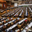 el-parlamento-cubano-desestima-la-solicitud-de-amnistia-de-los-presos-politicos