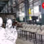 reapropiaciones-de-lo-politico-en-cuba-iii-el-reciclaje-de-figuras-y-terminos-en-la-narrativa-oficial